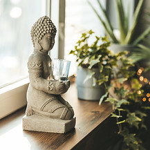 AdobeStock_480350504.jpeg