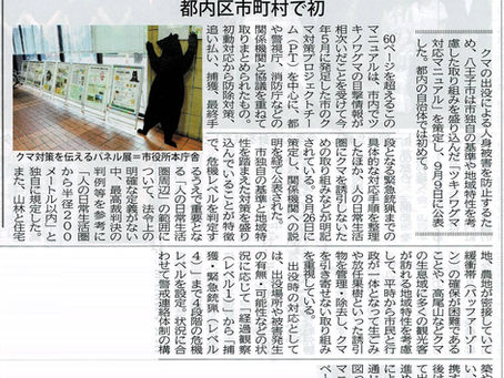 🐻 八王子市『クマ対応マニュアル』策定 都内区市町村で初