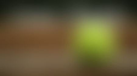 Cruisers Fall Short Despite 13-Hit Effort at Tenino