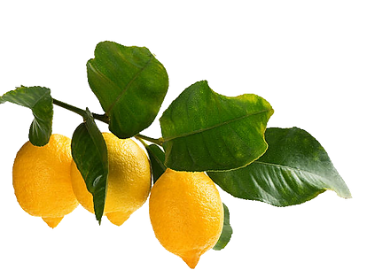 LEMONS.png