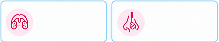 Imagen de ChatGPT 30 sept 2026, 09_59_50 p.m-7.png