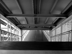 인생운동을 찾기 위한 여정들