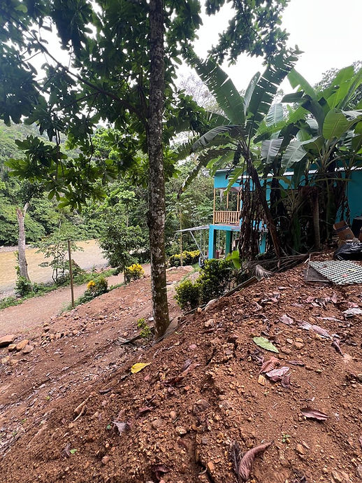 WhatsApp Image 2025-05-20 at 15.28.55_b95cb7b2.jpg