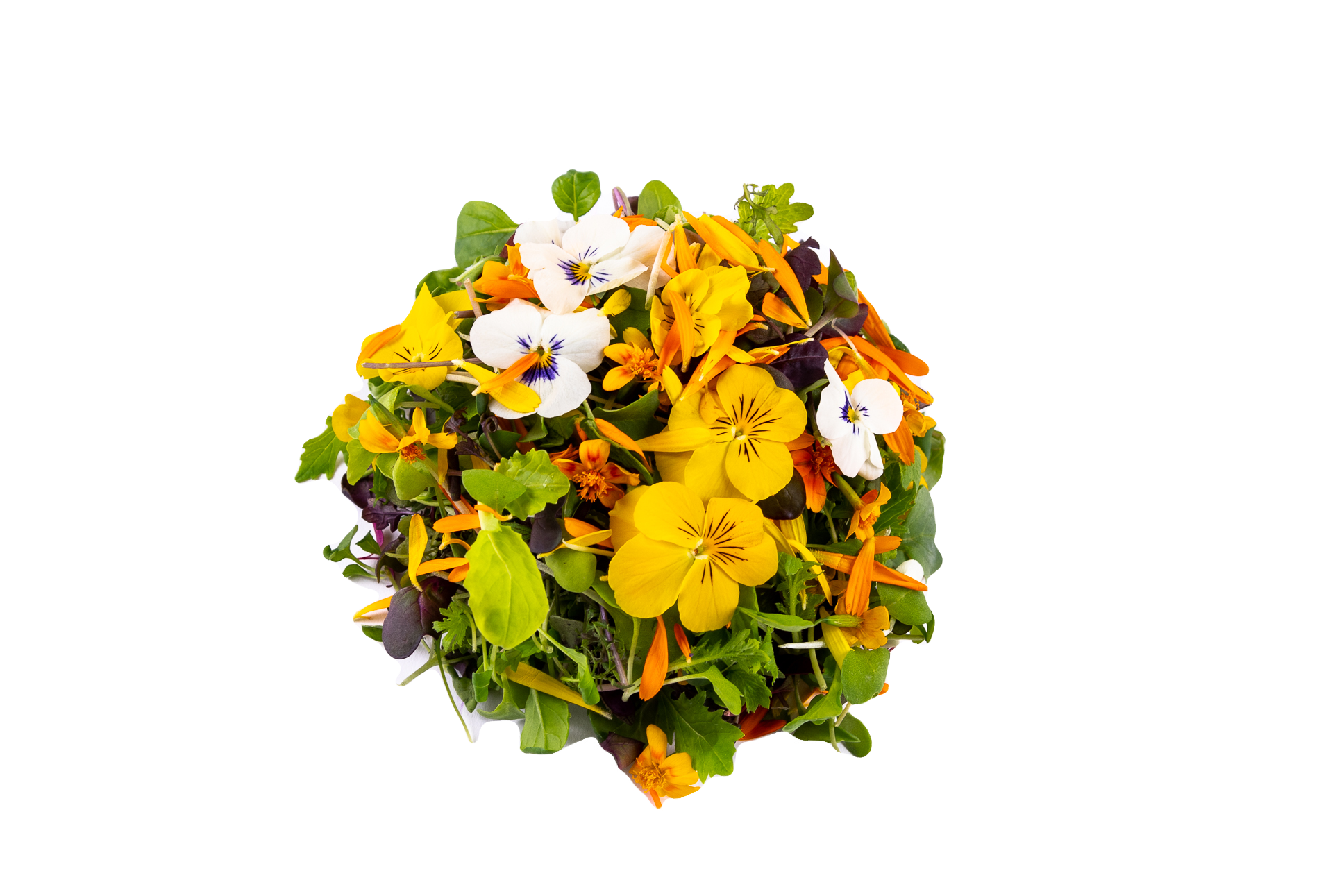 Mesclun Diabolique