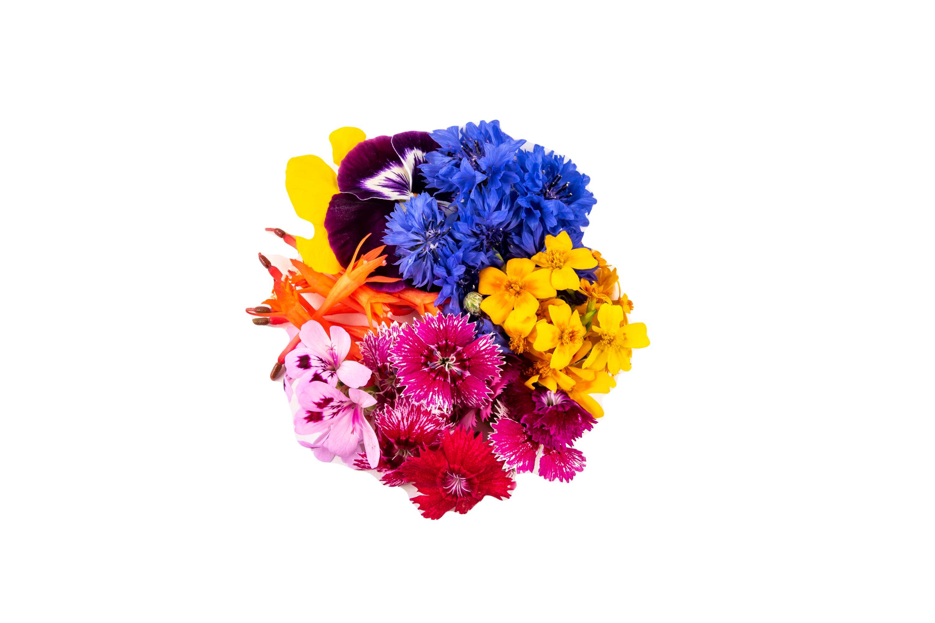 Fleurs Mixtes