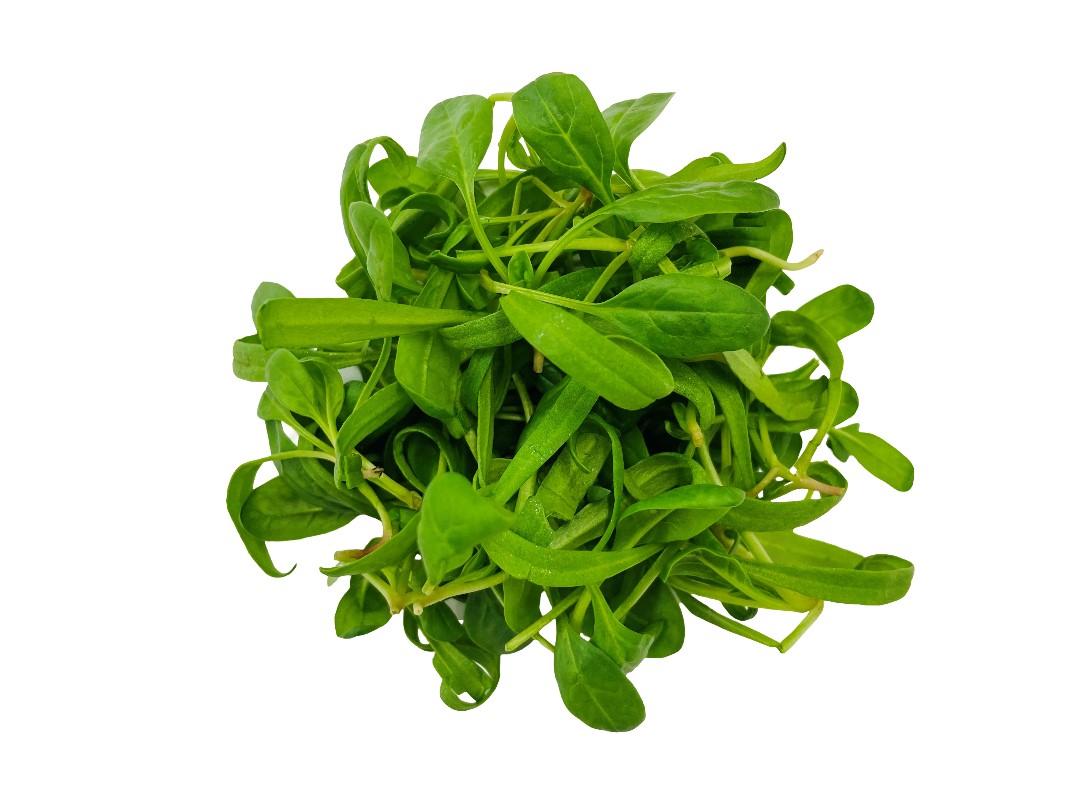 Mini Épinard