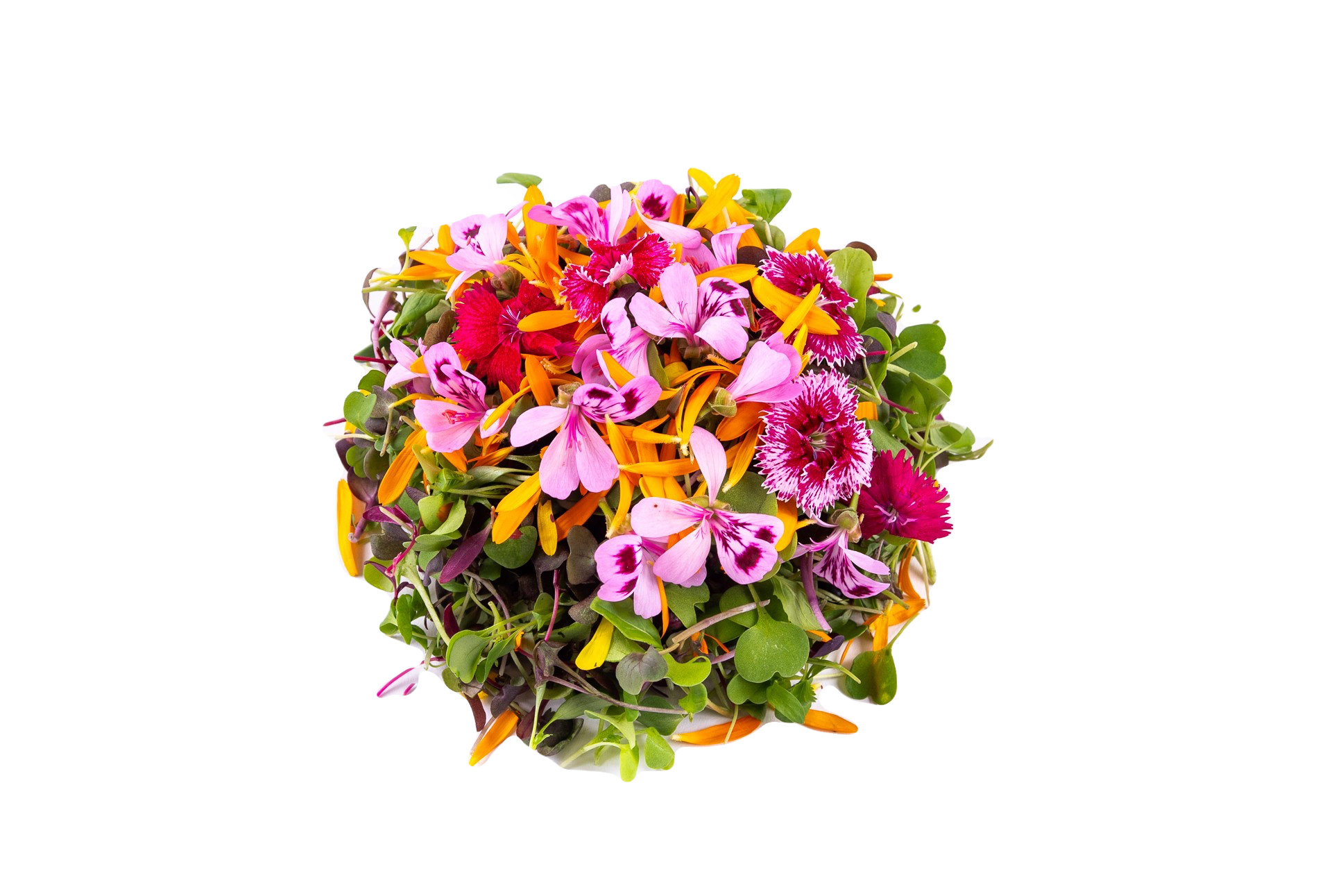 Micro Mesclun Extrême