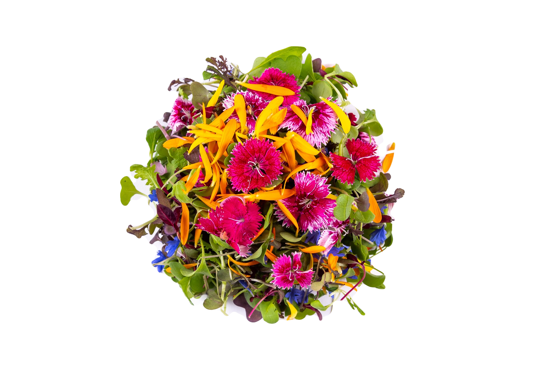 Mini Mesclun Fleurs