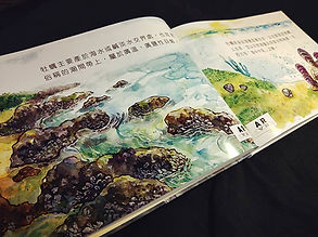 p7.jpg