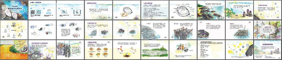 p5.jpg