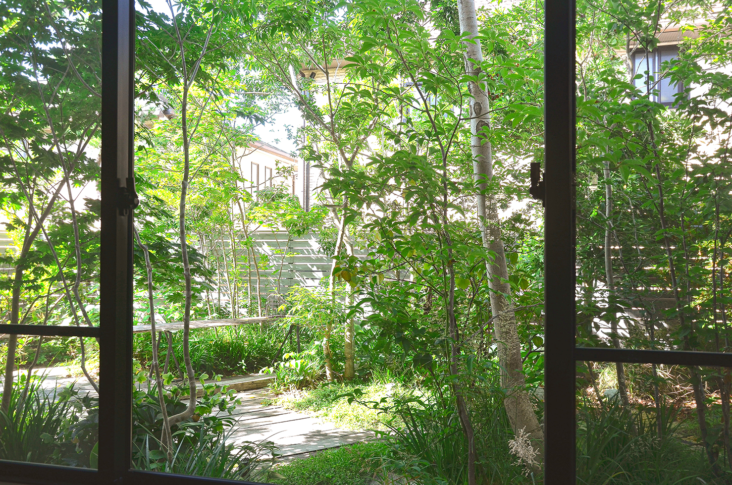 DPP_00209-2
