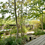 サムネイル： LOWER WOOD FENCE