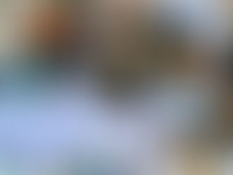 Destruyen estupefacientes secuestrados por el Ministerio Público Fiscal de Bahía Blanca