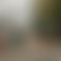 Encontraron muerto a un soldado en la Quinta de Olivos donde vive Milei