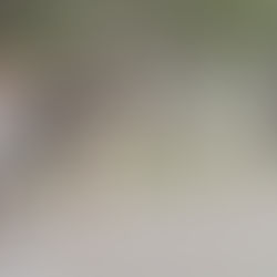 Alerta amarilla por fuertes vientos para Bahía y la zona