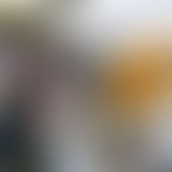 Fin de semana: hay 11 ferias para recorrer en espacios públicos