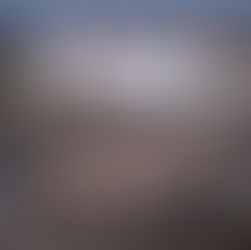 Profertil presentó su nueva composición accionaria