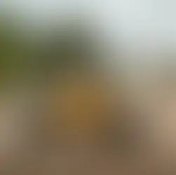 Pavimentarán 27 nuevas cuadras en distintos barrios