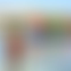 Verano en el Complejo Recreativo Maldonado