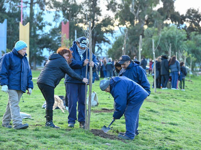 Reverdecer Bahía: primer programa de plantación y de recuperación forestal de la ciudad