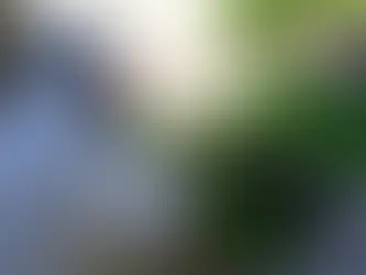 Tareas de prevención e información sobre Dengue