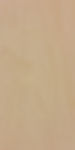 Basswood