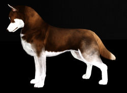 Lilium's Corvus Gienah at Delta