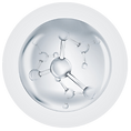 ParaNature Hedi New - 2026-01-14T212447.181a (1).png