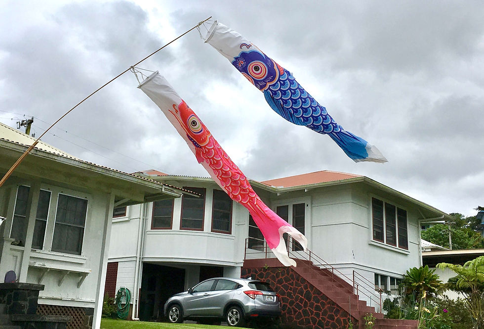 our neighborhood on Boys’ Day