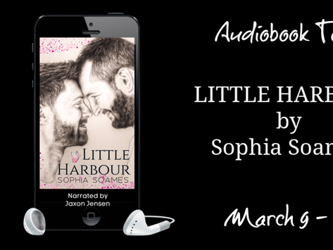 Spotlight: Little Harbour (Scandinavian Comfort #1) by Sophia Soames
