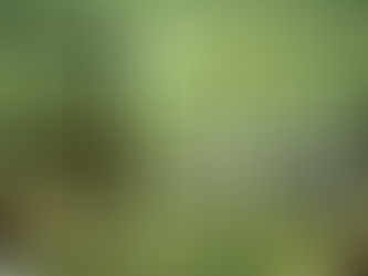 Excerpt: Lucie Dumas by Katherine Mezzacappa