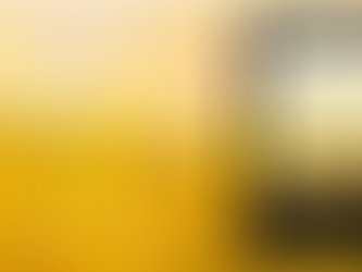 Guest Post: Shades of Yellow by Wendy J. Dunn
