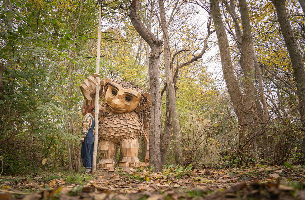 Trolls: A Field Study by Thomas Dambo