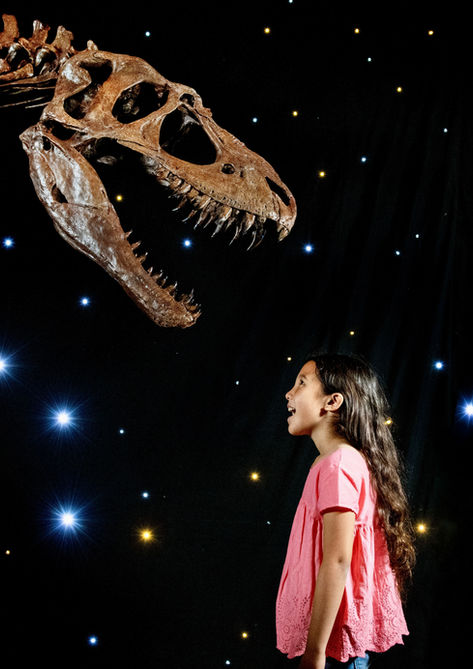 Lodowe dinozaury: zaginiony świat alaskańskiej Arktyki