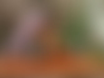 Los secretos de la postura del perro boca abajo ¿Cómo hacerla correctamente?