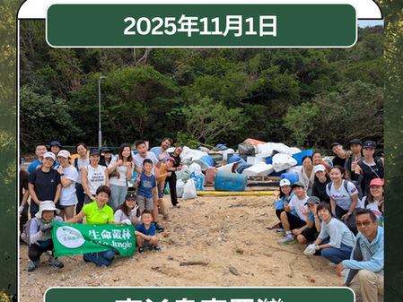 【樺加沙後海岸清潔行動回顧|南丫島索罟灣活動回顧】