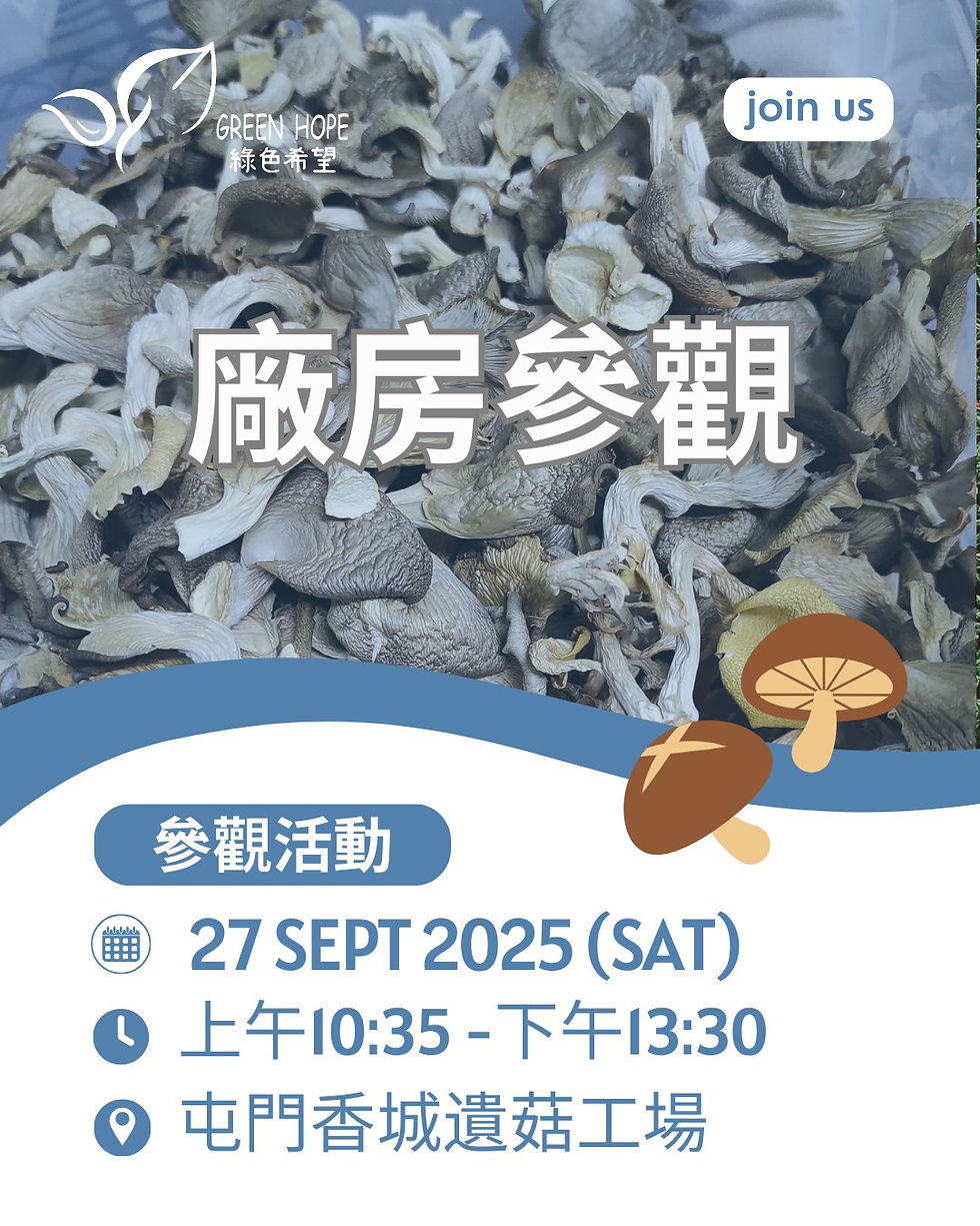 綠色希望香城遺菇參觀 & 工作坊