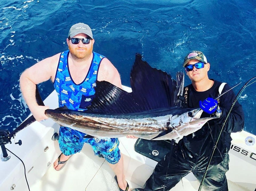 Sailfish