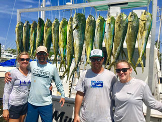 Big catch of Mahi Mahi