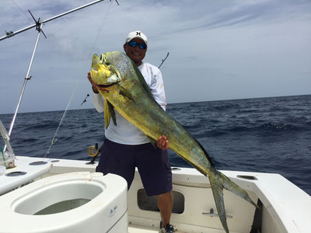 Slammers, gaffers & schoolies, oh my!
