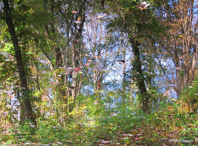 Trail-Reflections-11x14.jpg