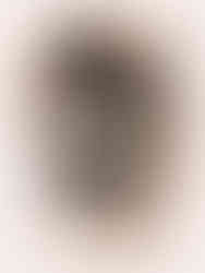 Kayleigh is wearing the black DAME period pants, NIght in size Large