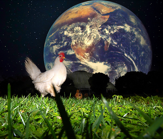 SUPRAWORLD_Chicken and Earth_edited_edit