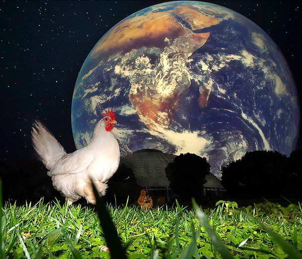 SUPRAWORLD_Chicken and Earth_edited_edit