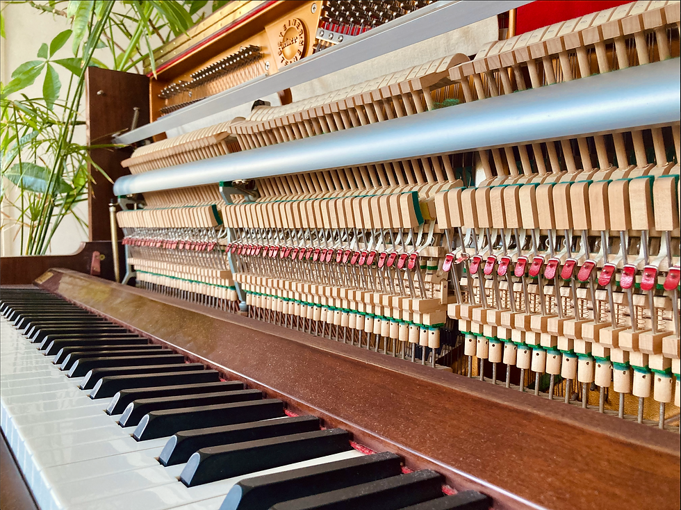 photo piano.png