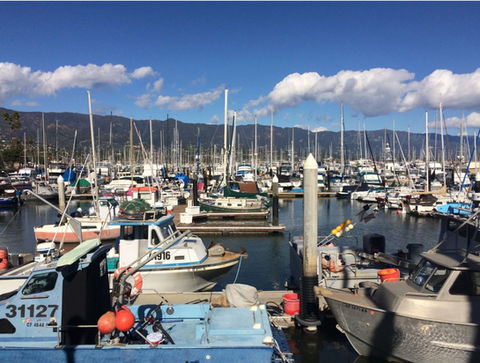 Screen Shot 2022-03-16 at 12.45_edited.jpg