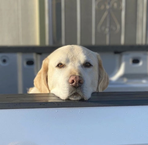 Screen Shot 2022-03-16 at 12_edited.jpg