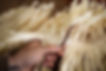 Weaving Tikumu.jpg