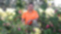 Graeme2.jpg