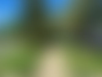 Lower-income neighborhoods have fewer trees, and that’s a problem for walkability -Fast Company